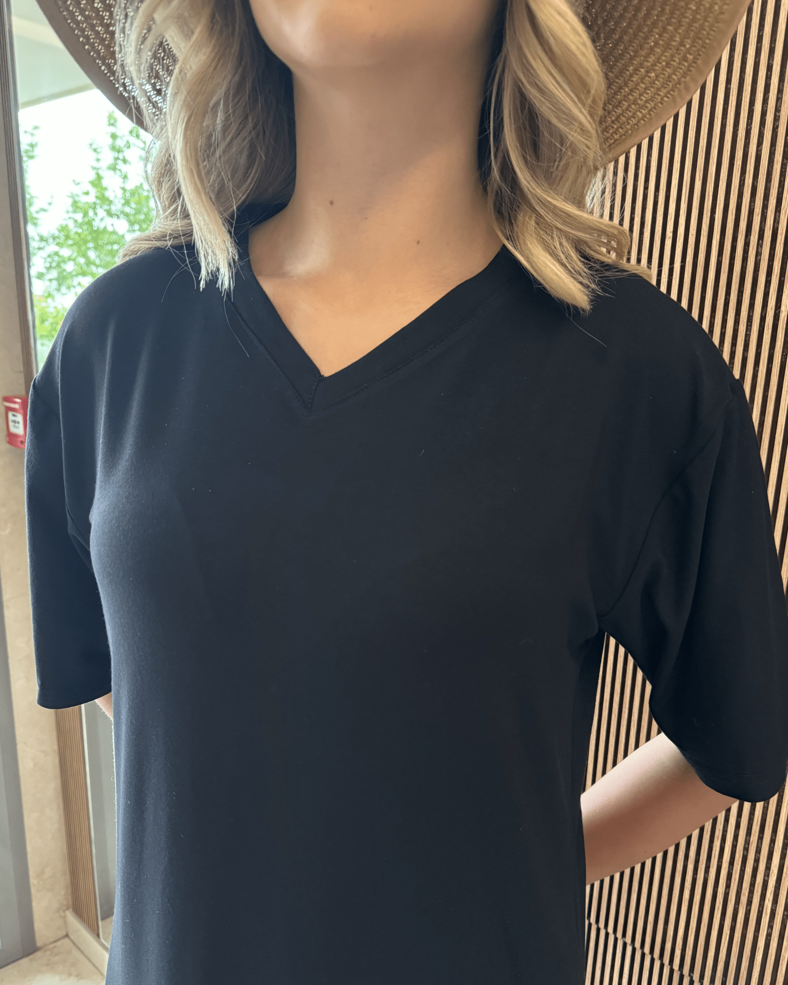 Chilly Dress V-neck