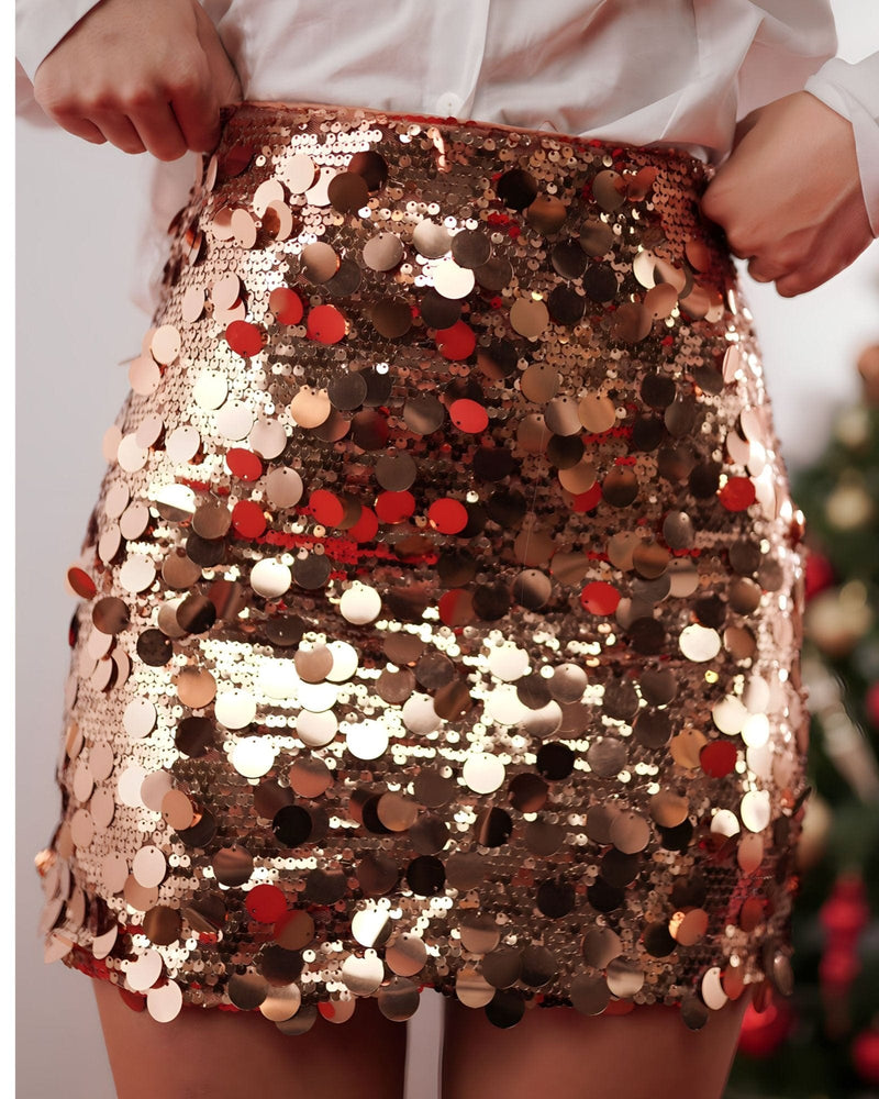 Sequin Skirt